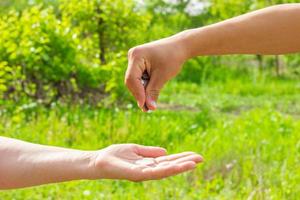 hand- in hand- geeft munten Aan groen achtergrond, financiën concept en leningen. foto