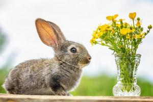schattig pluizig grijs konijn zittend De volgende naar een boeket van bloemen foto