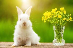 grappig wit oren weinig konijn Aan een houten achtergrond met een boeket van bloemen Aan een zonnig dag in natuur foto