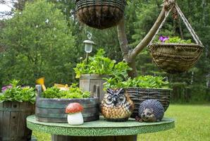 hand- gemaakt hangende bloem potten en houten petunia potten in de zomer tuin. decoratief figuren van een uil, egel en paddestoel Aan de tafel. eco ontwerp foto