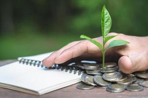 hand- met boom groeit van stapel van munten, concept voor bedrijf, innovatie, groei en geld foto