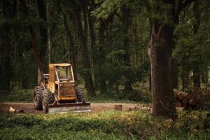 oude tractor op het bos ontbossing foto