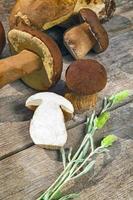 verse boletus edilus champignons op een houten tafel foto