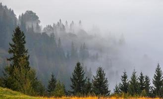 mist en cloud bergdal landschap
