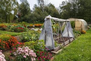 groente tuin met bloemen en kassen Aan een zomer dag. foto