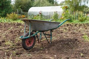 kruiwagen staand in de tuin. oogsten aardappelen. foto