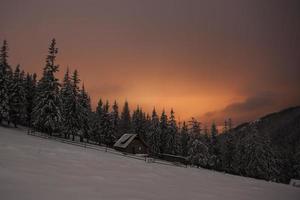 houten huis in winter woud in crrpathian bergen, 's nachts foto