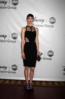 los angeles - jan 10 - krysten ritter arriveert Bij de abc tca partij winter 2012 Bij langham Huntington hotel Aan januari 10, 2012 in pasadena, ca foto