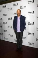 los angeles - jan 10 - anthony edwards woont . bij de abc tca winter 2013 partij Bij langham Huntington hotel Aan januari 10, 2013 in pasadena, ca foto