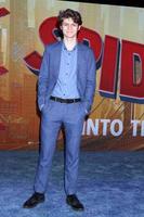 los angeles - dec 1 - ty simpkins Bij de Spider Man - in de spider-vers première Bij de dorp theater Aan december 1, 2018 in westhout, ca foto