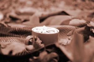 herfst bladeren en heet stomen kop van koffie leugens Aan geruit plaid buitenshuis foto