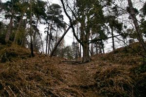 een visie van de shropshire platteland Bij grinshill foto