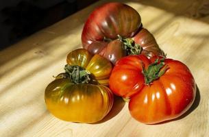 rijp sappig tomaten van de tuin Aan een licht houten achtergrond in de zon stralen detailopname foto