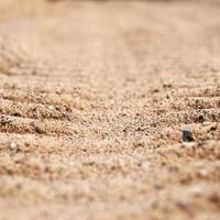 achtergrond band sporen van auto's Aan de zand detailopname. een deel van de achtergrond is vervaagd. foto