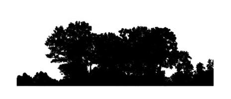 bomen silhouet voor borstel Aan wit achtergrond. foto