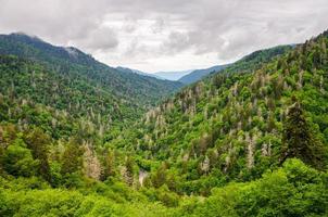 Great Smoky Mountains National Park foto