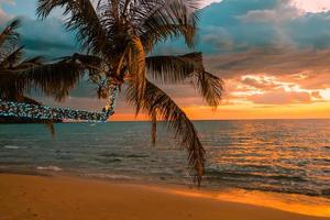 mooi zonsondergang tropisch strand met palm boom en verlichte voor reizen in vakantie kom tot rust tijd, foto