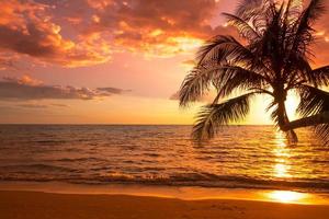 silhouet van palmbomen prachtige zonsondergang op de tropische zee strand achtergrond voor reizen in vakantie ontspannen tijd, foto