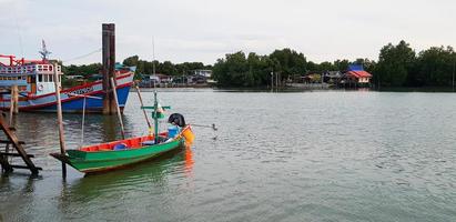 groen lange staart boot Aan rivier- met verlichting voorgrond en lucht, groen met huis achtergrond in wijnoogst toon met kopiëren ruimte. landelijk levensstijl met natuur en landschap visie. foto