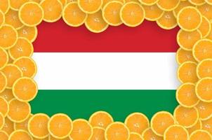Hongarije vlag in vers citrus fruit plakjes kader foto