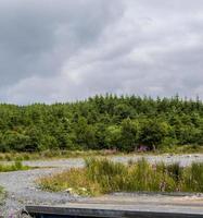 zomer landschap heuvels en horizon foto