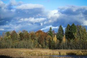 Woud bomen herfst tafereel over- de weide met blauw helder lucht met wit en grijs zwaar wolken foto