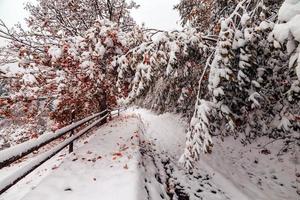 twee seizoenen - winter- en herfsttafereel in het park foto