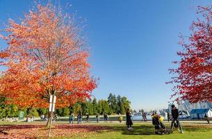 Vancouver, Canada, 2018 - niet geïdentificeerd toeristen Bij Stanley park met herfst kleur van esdoorn- bomen in Vancouver, Brits Colombia, Canada. foto