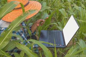 Dames boeren in Azië gebruik laptops verzamelen informatie naar studie informatie over landbouw. foto