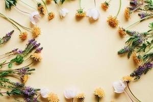 wilde bloemen Aan een geel achtergrond. wit en geel bloemen foto