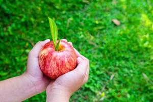 vers appelfruit in de hand van een kind foto