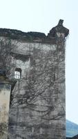 de mooi traditioneel Chinese dorp visie met de klassiek architectuur en vers groen bomen net zo achtergrond foto