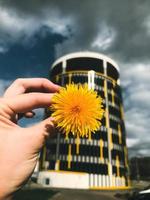 helder geel paardebloem Aan de achtergrond van een ronde parkeren veel voor auto opslag. een zomer bloem in contrast naar de levendig parkeren kavel. geel schattig achtergrond voor paardebloem. zomer bloemen foto