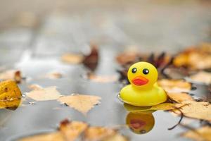 eend speelgoed- in herfst plas met bladeren foto