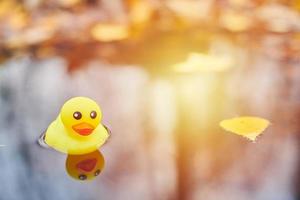 eend speelgoed- in herfst plas met bladeren foto