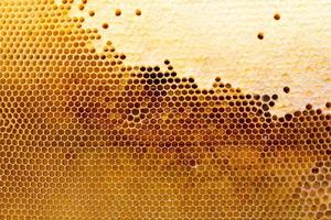 honingraat met een honing textuur. . achtergrond structuur en tekening van een sectie van was- honingraat van foto