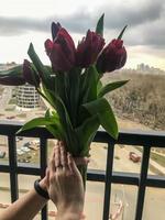 helder roze boeket van tulpen in de handen van een meisje met manicuren, armbanden. bloemen tegen de achtergrond van een donker regenachtig wolk en een helder geel parkeren voor een auto. geschenk voor Valentijnsdag dag foto