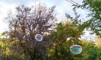 groot zeep bubbels Aan de achtergrond van bomen foto