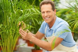 werken met planten is Super goed genoegen. knap volwassen Mens in uniform geknield in de buurt de ingemaakt planten en glimlachen foto