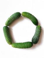 vers komkommers geregeld in cirkel vorm geïsoleerd Aan wit achtergrond foto