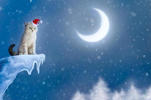 boos kat in de kerstman hoed Aan de klif foto
