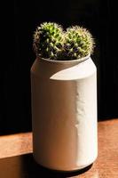 cactus in een wit kan van Frisdrank. verticaal afbeelding. foto