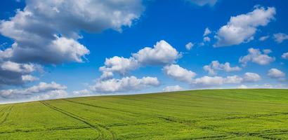 gelukkig blauw lucht, horizon en boerderij velden. rustig voorjaar zomer natuur landschap. idyllisch landbouw heuvel groen weide. vredig positief energie, mooi zo humeur zonnig landelijk. ontspannende vredig platteland foto