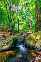 watervallen Aan Doorzichtig kreek in Woud. zomer berg stroom landschap, zacht zonlicht. wandelen en reizen buitenshuis avontuur bos, kalmte kreek. sereen natuur detailopname, rotsen, mos vers groen bomen foto