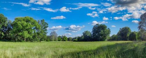 idyllisch berglandschap met frisse groene weiden en bloeiende wilde bloemen. idyllische natuur uitzicht op het platteland, landelijk buiten natuurlijk uitzicht. idyllische banner natuur, panoramisch lente zomer landschap foto