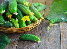 oogst komkommers in een mand op de houten achtergrond foto
