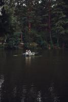 gemakkelijk vreugde van liefdevol. mooi jong paar genieten van romantisch datum terwijl roeien een boot foto