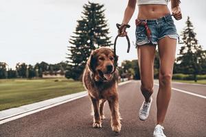 krijgen sommige vers lucht. detailopname van jong vrouw rennen met haar hond door de park terwijl uitgeven tijd buitenshuis foto