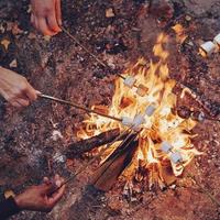 Koken favoriete voedsel. dichtbij omhoog top visie van jong mensen roosteren marshmallows over- een vreugdevuur terwijl camping buitenshuis foto