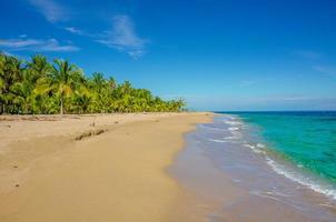 caraïbisch strand dichtbij puerto viejo - costa rica